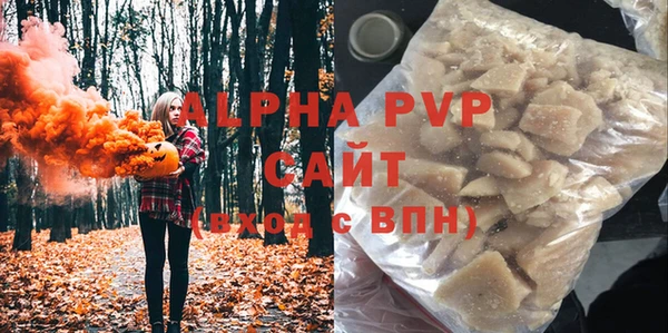 гидра Богданович