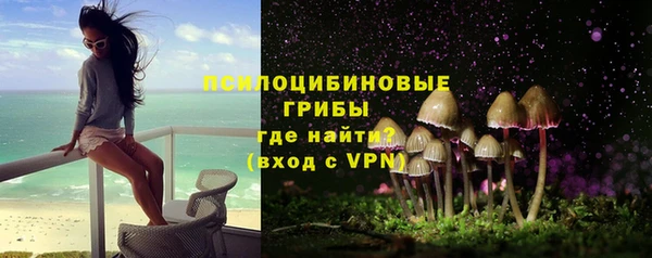 гидра Богданович